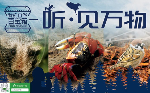 听见万物